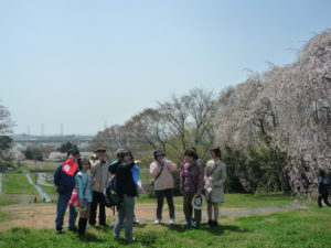 City Walking Tour to Study the Tagajo and Jogan Earthquakes and Tsunamis