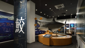 Museum Tour: Hands-on Museum to Learn About the Bonds Between Kesennuma Residents and the Sea
