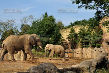 仙台市八木山動物公園