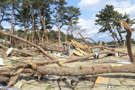 東北大学研究者による震災写真 東北大学研究者による震災写真