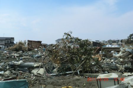 東北大学研究者による震災写真 東北大学研究者による震災写真