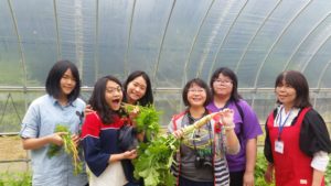 Countryside homestay experience program (For education group)